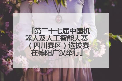 第二十七届中国机器人及人工智能大赛（四川赛区）选拔赛在德阳广汉举行