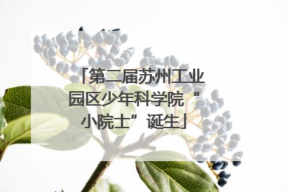第二届苏州工业园区少年科学院“小院士”诞生