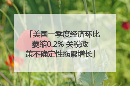 美国一季度经济环比萎缩0.2% 关税政策不确定性拖累增长