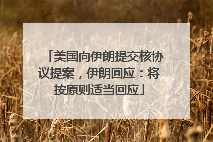美国向伊朗提交核协议提案，伊朗回应：将按原则适当回应