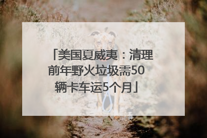 美国夏威夷：清理前年野火垃圾需50辆卡车运5个月