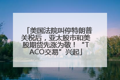 美国法院叫停特朗普关税后，亚太股市和美股期货先涨为敬！“TACO交易”兴起
