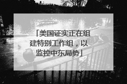美国证实正在组建特别工作组，以监控中东局势
