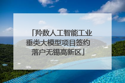 羚数人工智能工业垂类大模型项目签约落户无锡高新区