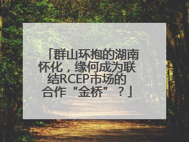 群山环抱的湖南怀化，缘何成为联结RCEP市场的合作“金桥”？