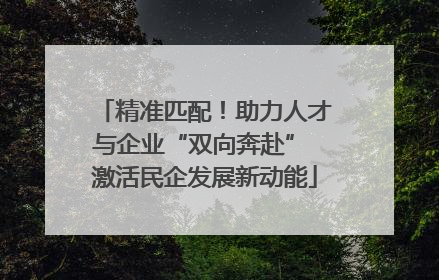 精准匹配！助力人才与企业“双向奔赴” 激活民企发展新动能
