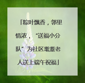 粽叶飘香，邻里情浓，“送福小分队”为社区耄耋老人送上端午祝福