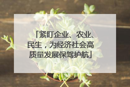 紧盯企业、农业、民生，为经济社会高质量发展保驾护航