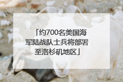约700名美国海军陆战队士兵将部署至洛杉矶地区