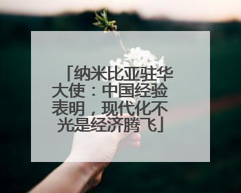纳米比亚驻华大使：中国经验表明，现代化不光是经济腾飞