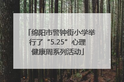 绵阳市警钟街小学举行了“5.25”心理健康周系列活动