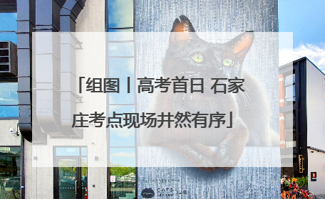 组图丨高考首日 石家庄考点现场井然有序