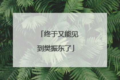 终于又能见到樊振东了