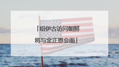 绍伊古访问朝鲜 将与金正恩会面