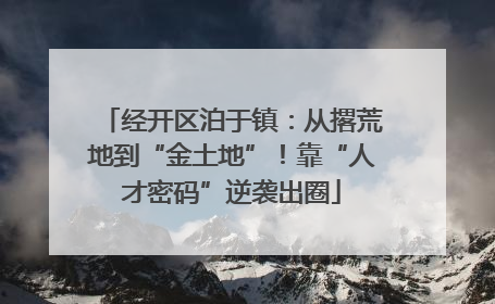 经开区泊于镇：从撂荒地到“金土地”！靠“人才密码”逆袭出圈