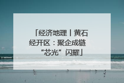 经济地理丨黄石经开区：聚企成链“芯光”闪耀