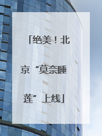 绝美！北京“莫奈睡莲”上线