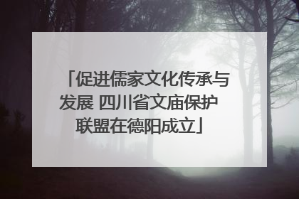 促进儒家文化传承与发展 四川省文庙保护联盟在德阳成立