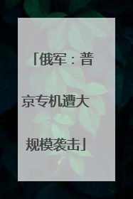 俄军：普京专机遭大规模袭击
