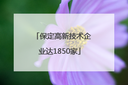 保定高新技术企业达1850家