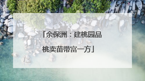 余保洲：建桃园品桃卖苗带富一方