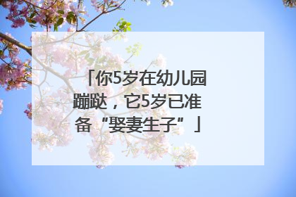 你5岁在幼儿园蹦跶，它5岁已准备“娶妻生子”