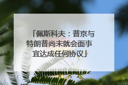 佩斯科夫：普京与特朗普尚未就会面事宜达成任何协议