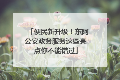 便民新升级！东阿公安政务服务这些亮点你不能错过