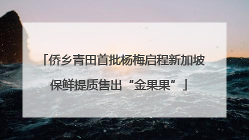 侨乡青田首批杨梅启程新加坡 保鲜提质售出“金果果”