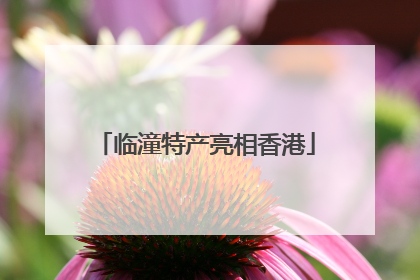 临潼特产亮相香港