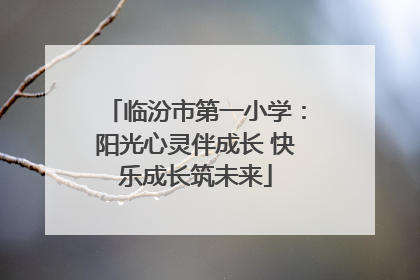 临汾市第一小学：阳光心灵伴成长 快乐成长筑未来