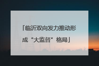 临沂双向发力推动形成“大监督”格局