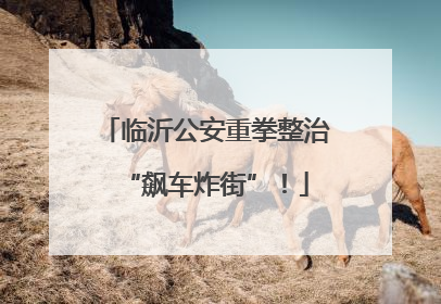 临沂公安重拳整治“飙车炸街”！