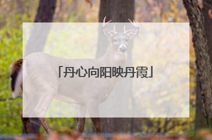丹心向阳映丹霞