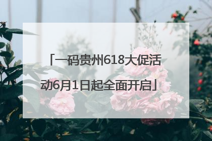 一码贵州618大促活动6月1日起全面开启