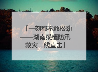 一刻都不敢松劲——湖南桑植防汛救灾一线直击