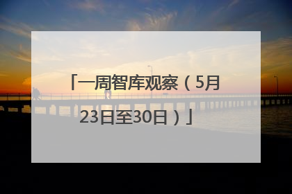 一周智库观察（5月23日至30日）