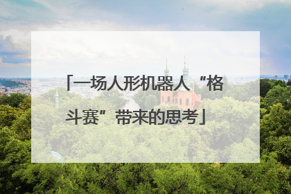 一场人形机器人“格斗赛”带来的思考