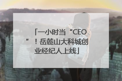 一小时当“CEO”！岳麓山大科城创业经纪人上线