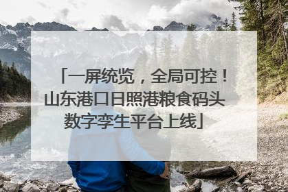 一屏统览，全局可控！山东港口日照港粮食码头数字孪生平台上线