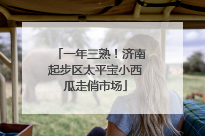 一年三熟！济南起步区太平宝小西瓜走俏市场
