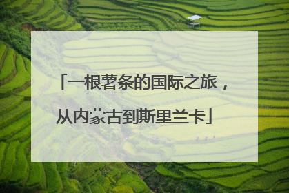 一根薯条的国际之旅，从内蒙古到斯里兰卡