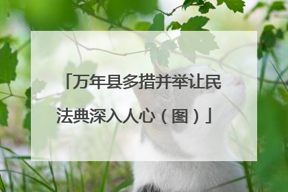万年县多措并举让民法典深入人心（图）