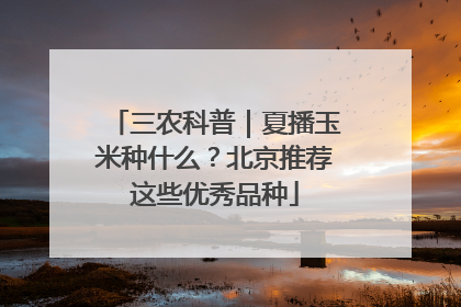三农科普｜夏播玉米种什么？北京推荐这些优秀品种