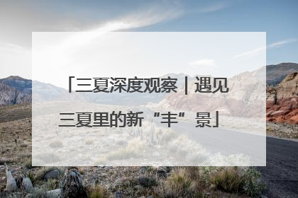 三夏深度观察｜遇见三夏里的新“丰”景