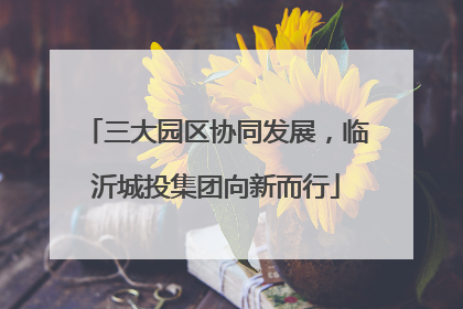 三大园区协同发展，临沂城投集团向新而行