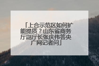 上合示范区如何扩能提质？山东省商务厅副厅长张庆伟答央广网记者问