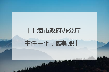 上海市政府办公厅主任王平，履新职
