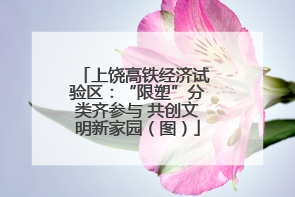 上饶高铁经济试验区：“限塑”分类齐参与 共创文明新家园（图）
