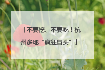 不要挖、不要吃！杭州多地“疯狂冒头”